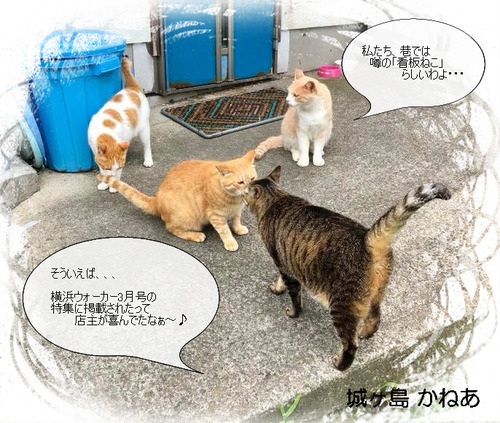 2019.2.22-YW
