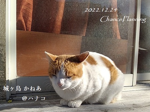 20221224jkanea (3)