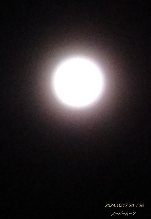 20241017-Fmoon (4)