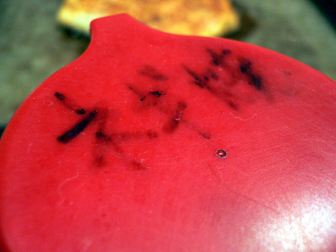 �ͥ��Ƥ�����