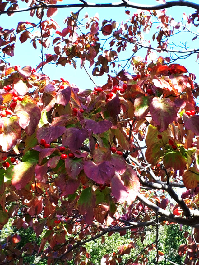 20181022_133131