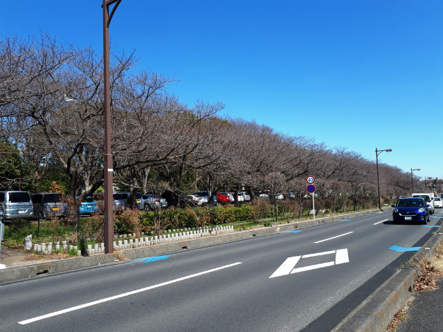 20190318_120746