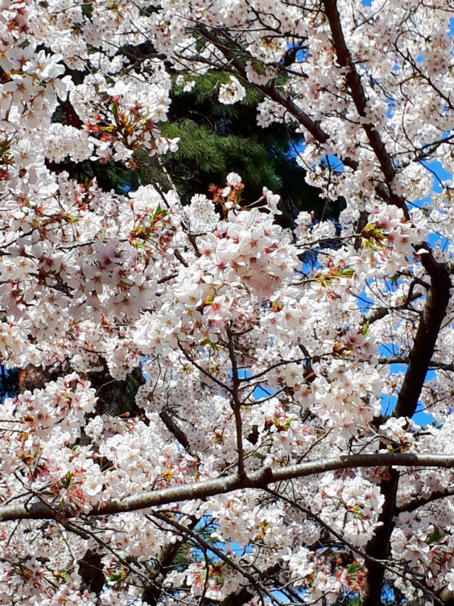 20190405_141254