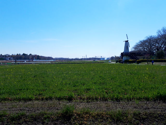 20190318_120914