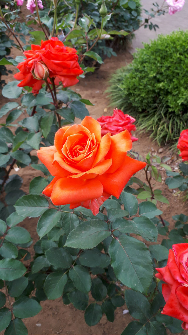 20190518_152832
