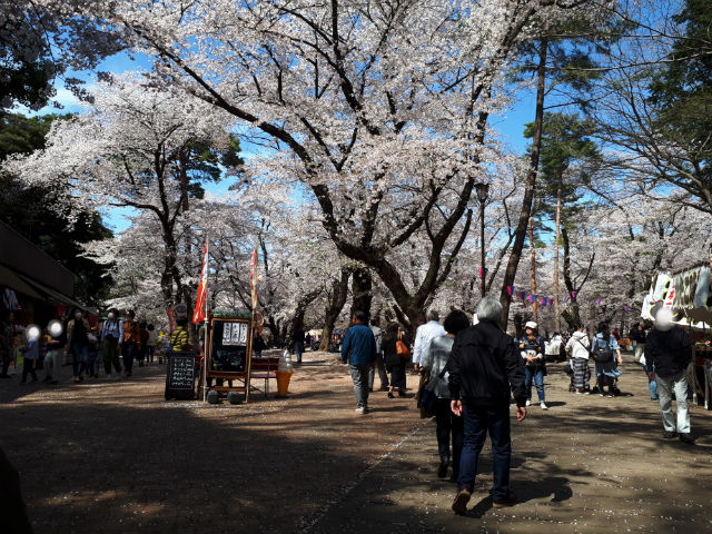 20190405_130345