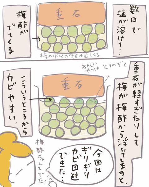 8DBF2C85-ECEF-436C-8D4C-F415BA543C3D