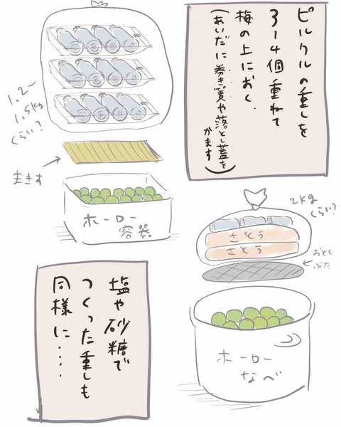 E423EEE9-3F4D-49EA-8A47-99E672E23922