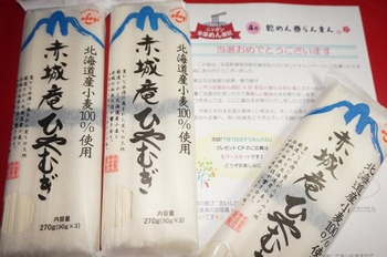 乾めん　春らんまん