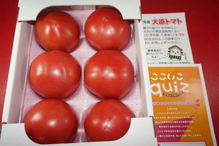 大原トマト