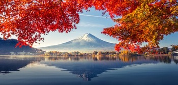 紅葉