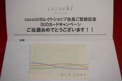 cocochi