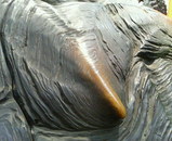 �����Υ�����