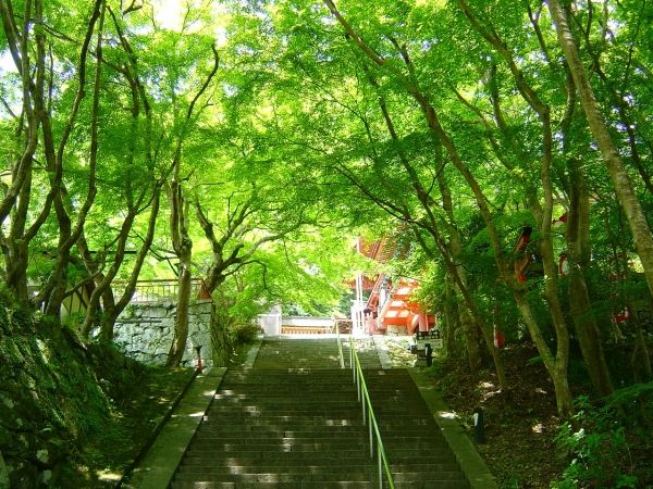 涼しそうな夏の風景 : chaos0000のblog
