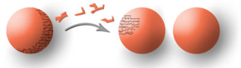 Doubling_of_a_sphere,_as_per_the_Banach-Tarski_Theorem (1)