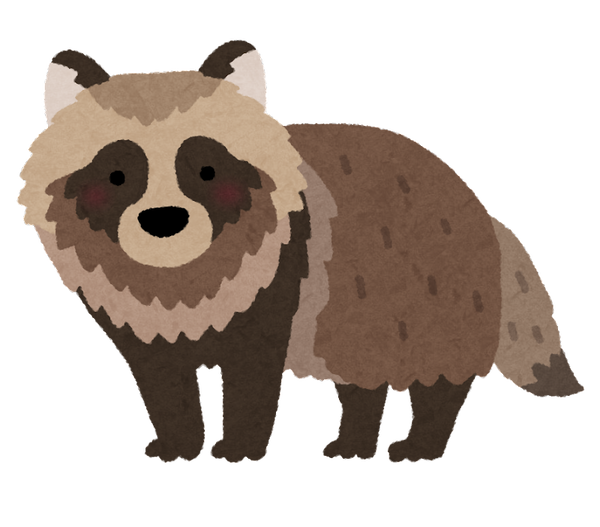 animal_tanuki