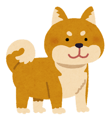 dog_shibainu_brown