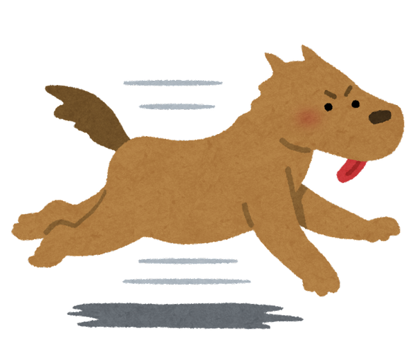 run_dog