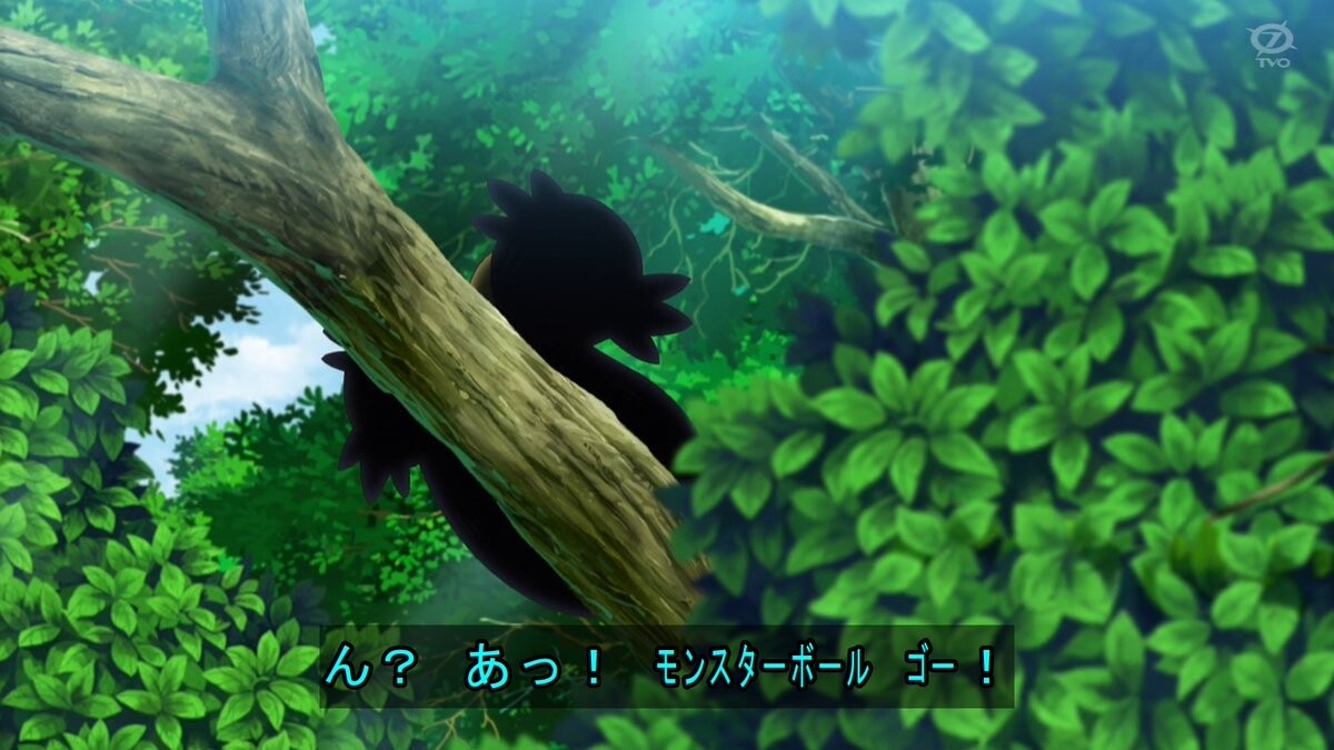 ポケットモンスター65話感想 サトシvsチャンピオンアイリス 混沌の深淵 カオス ディープ