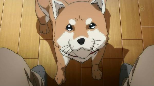 いぬやしき3話感想 犬屋敷さんはアトム 混沌の深淵 カオス ディープ いぬやしき3話感想 犬屋敷さんはアトム 混沌の深淵 カオス ディープ