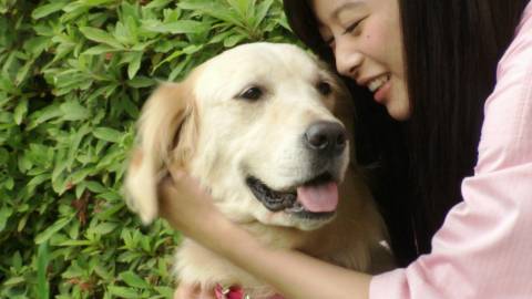 仮面ライダードライブ４２話感想 愛と忠義と超進化と犬 混沌の深淵 カオス ディープ