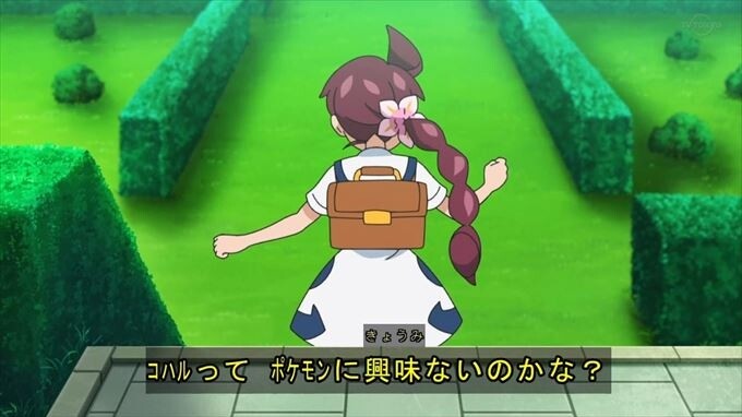 ポケットモンスター11話感想 ワンパチはコハルが大好き 混沌の深淵 カオス ディープ