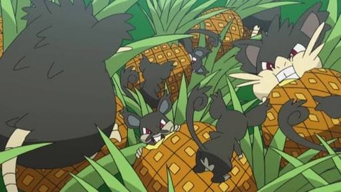 ポケットモンスターサン ムーン 混沌の深淵 カオス ディープ