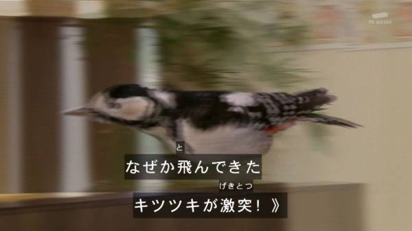 快盗戦隊ルパンレンジャーｖｓ警察戦隊パトレンジャー４０話感想 カイリのサボる理由 混沌の深淵 カオス ディープ