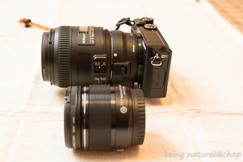 Nikon1 J5用にマウントアダプターft1を購入してみた 自然のままにいこう Chap Nikon1 J5用にマウントアダプターft1を購入してみた 自然のままにいこう Chap