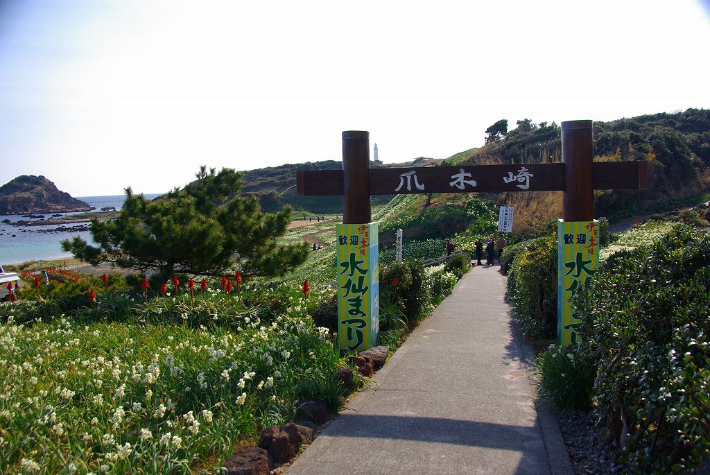 ちゃっぷの温泉・ハイキングブログ
	  下田爪木崎　水仙まつり　伊豆　静岡へ（１）
	コメントトラックバック