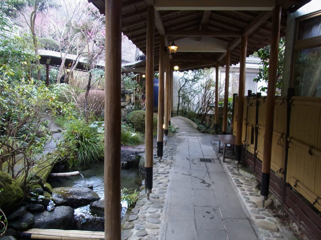 あつぎ飯山温泉元湯旅館 温泉編 神奈川へ 8 ちゃっぷの温泉 ハイキングブログ あつぎ飯山温泉元湯旅館 温泉編 神奈川へ 8 ちゃっぷの温泉 ハイキングブログ
