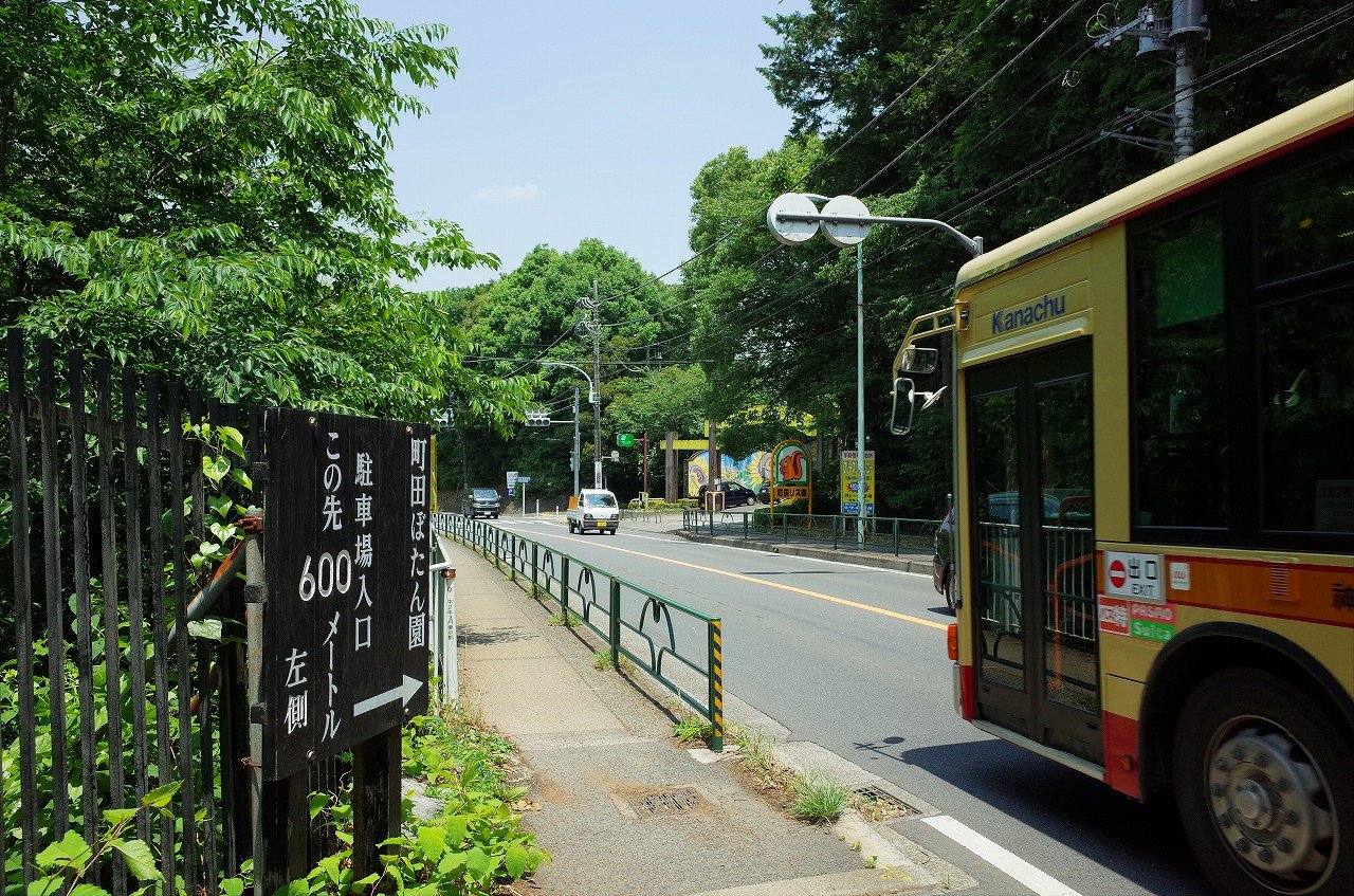 薬師 池 公園 駐 車場 大池公園 Amp Petmd Com 薬師 池 公園 駐 車場 大池公園 Amp Petmd Com