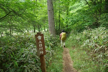 86 �롼��