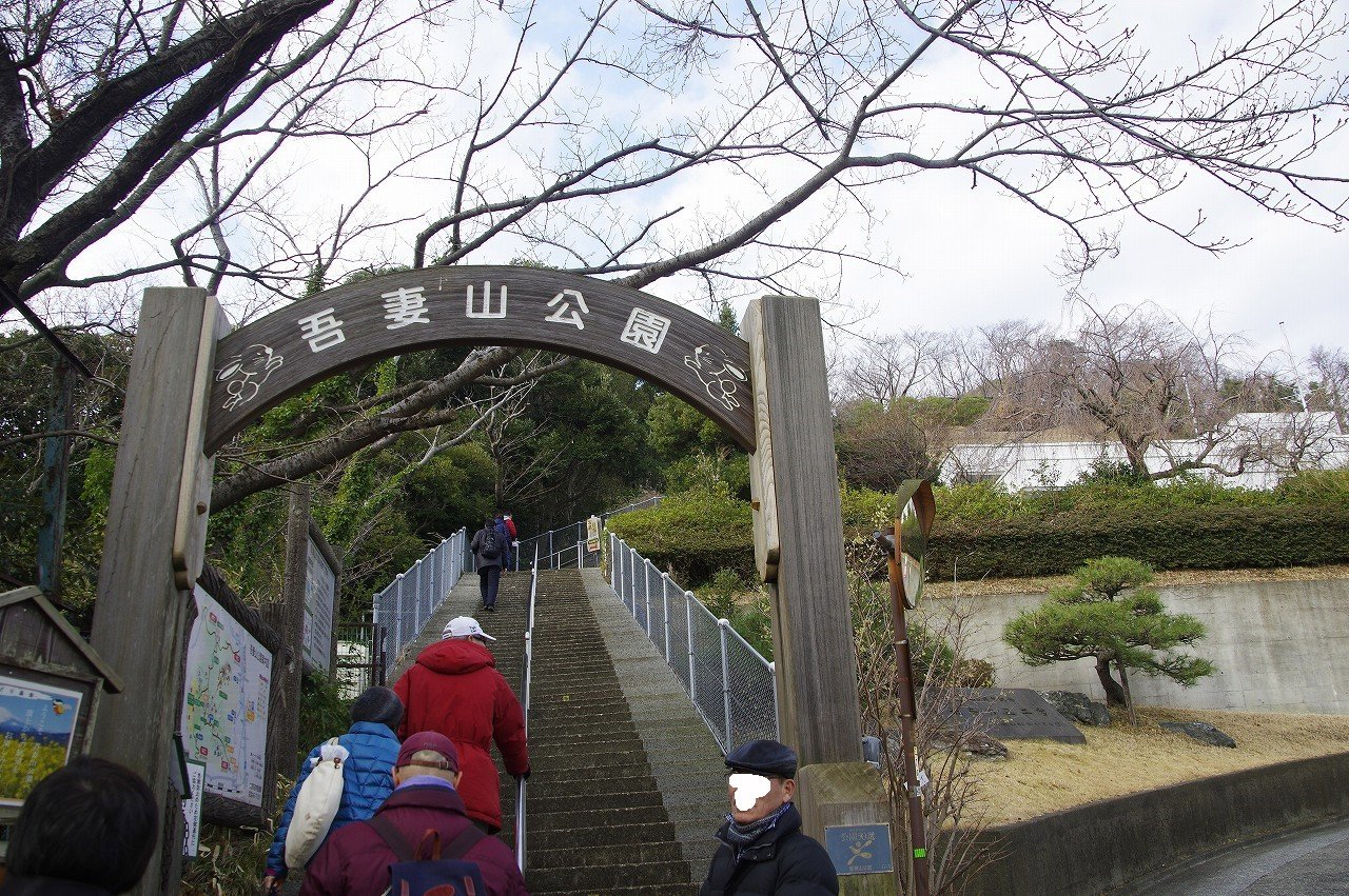 吾妻山公園の菜の花２０１８ 神奈川の二宮町へ 速報版 ちゃっぷの温泉 ハイキングブログ