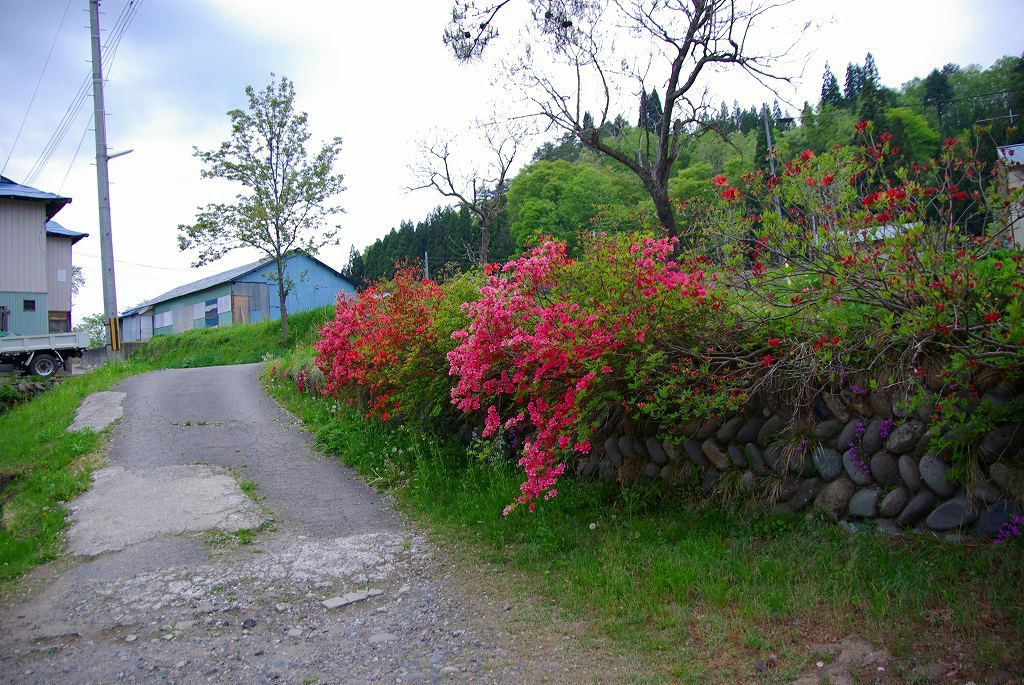大塩温泉 たつみ荘編 福島へ ４ ちゃっぷの温泉 ハイキングブログ