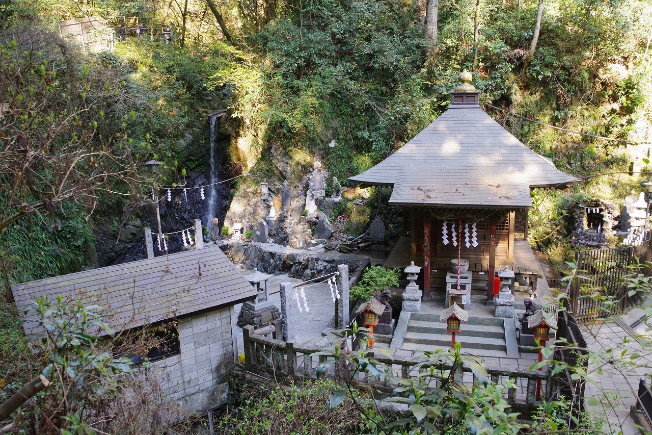 高尾山～陣馬山 花見ハイキング2019 速報版 : ちゃっぷの温泉