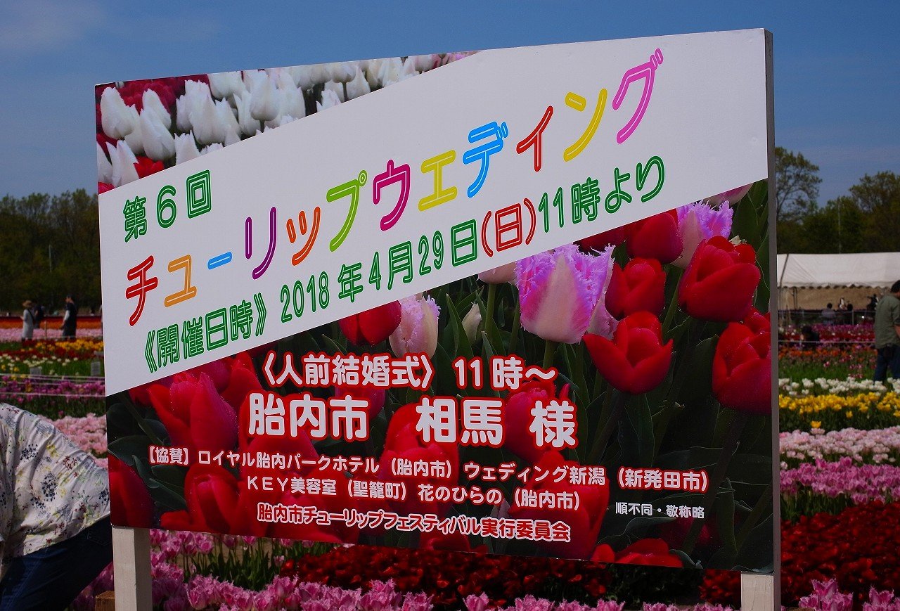 胎内市チューリップフェスティバル ２ 初夏の新潟ツアー２０１８ その２ ちゃっぷの温泉 ハイキングブログ