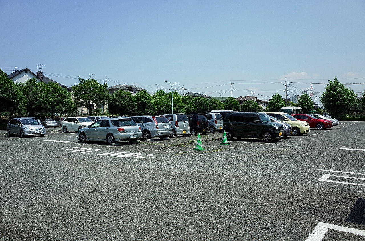 薬師 池 公園 駐 車場 大池公園 Amp Petmd Com 薬師 池 公園 駐 車場 大池公園 Amp Petmd Com