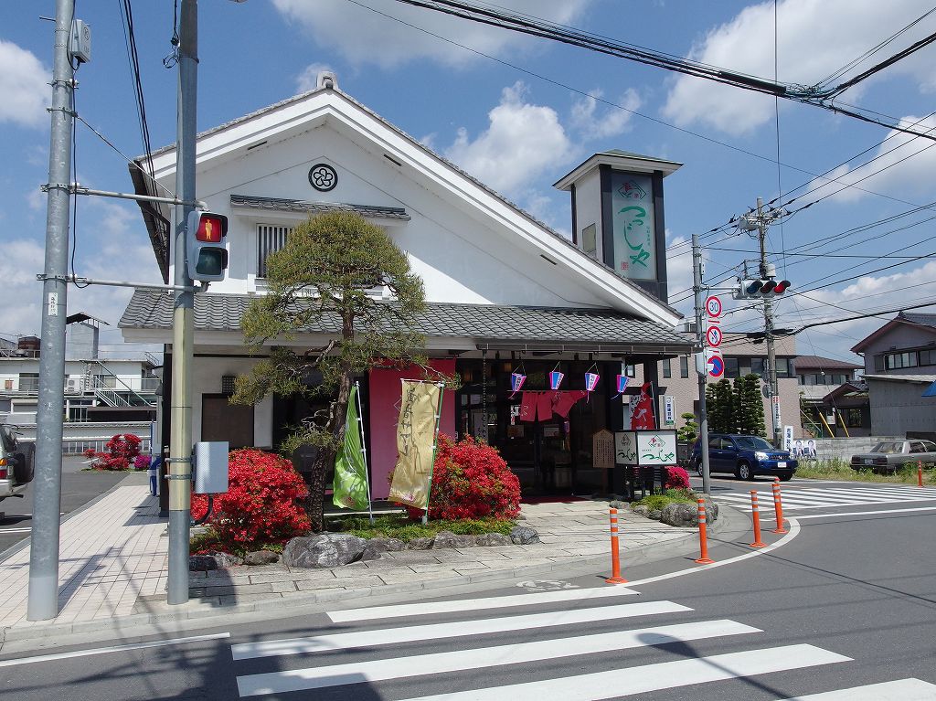 塩船観音寺 つつじまつり １ 東京へ ちゃっぷの温泉 ハイキングブログ