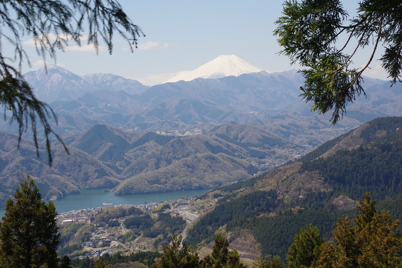 高尾山～陣馬山 花見ハイキング2019 速報版 : ちゃっぷの温泉