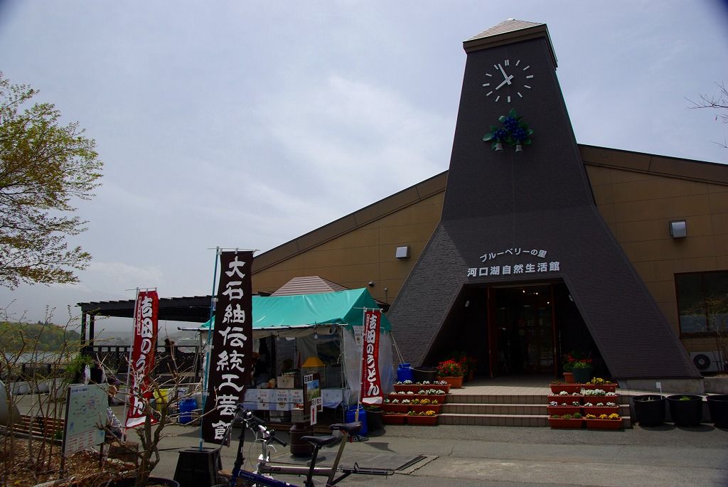 河口湖大石公園の芝桜 11 山梨へ ３ ちゃっぷの温泉 ハイキングブログ