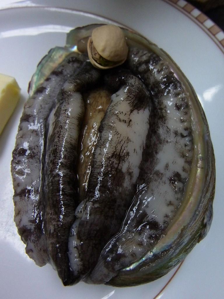 卑猥なあわび 伊豆に行きやした 速報版 : ちゃっぷの温泉・ハイキングブログ