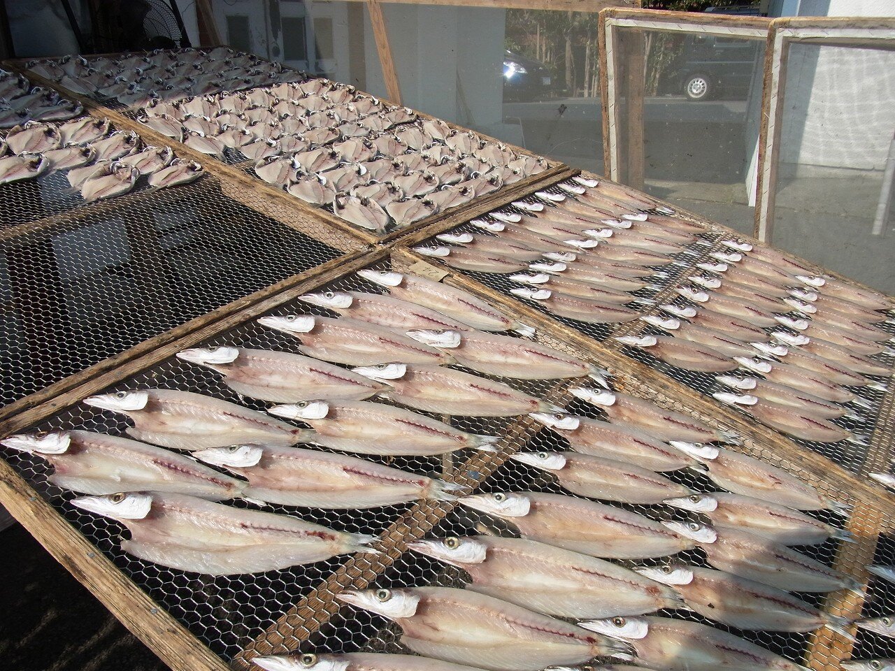 八八ひものセンター 伊豆 静岡へ(11) 店主が殺され廃業2012年12月 ちゃっぷの温泉・ハイキングブログ 八八ひものセンター 伊豆 静岡へ(11) 店主が殺され廃業2012年12月 ちゃっぷの温泉・ハイキングブログ