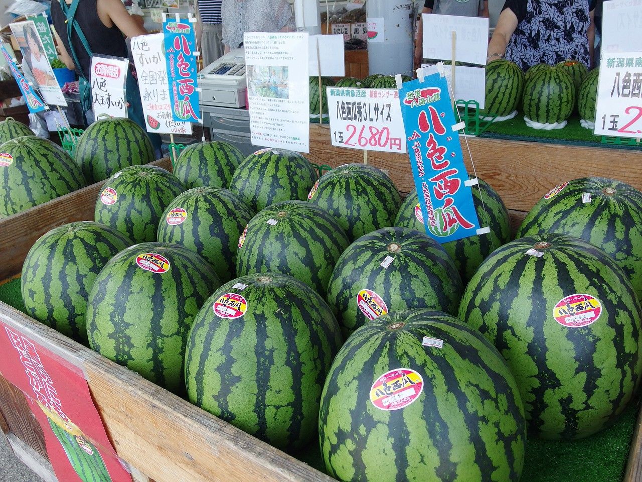 道の駅ゆのたに 八色スイカ直売所 新潟 ちゃっぷの温泉 ハイキングブログ