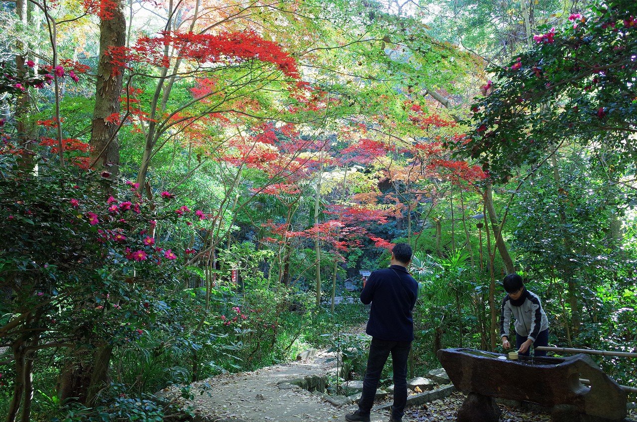 等々力渓谷 ２ 等々力不動尊 紅葉の九品仏浄真寺 等々力渓谷ツアー２０１７ ちゃっぷの温泉 ハイキングブログ