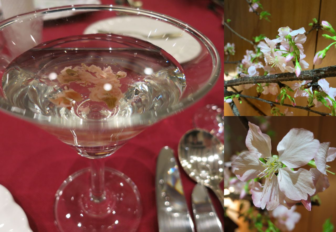 16 01 28 日本酒とフランス料理を楽しむ会 今週のシャポン ファン フレンチレストラン シャポン ファン