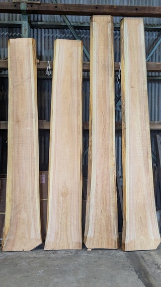 PXL_20260212_022615055~2