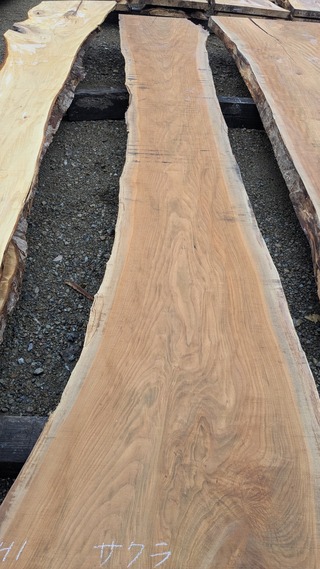 PXL_20251204_235237682