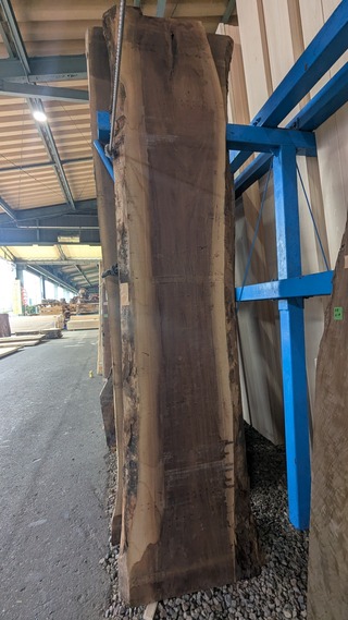 PXL_20260220_043359735~2