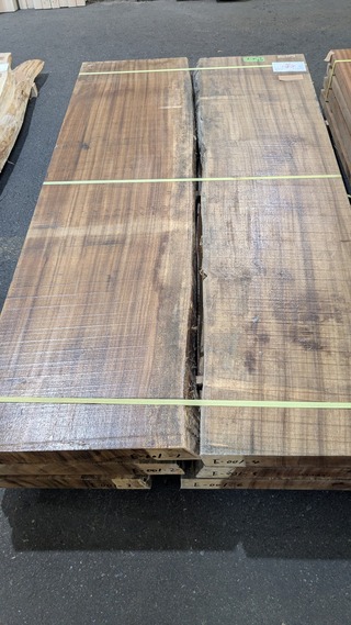 PXL_20260220_055641249